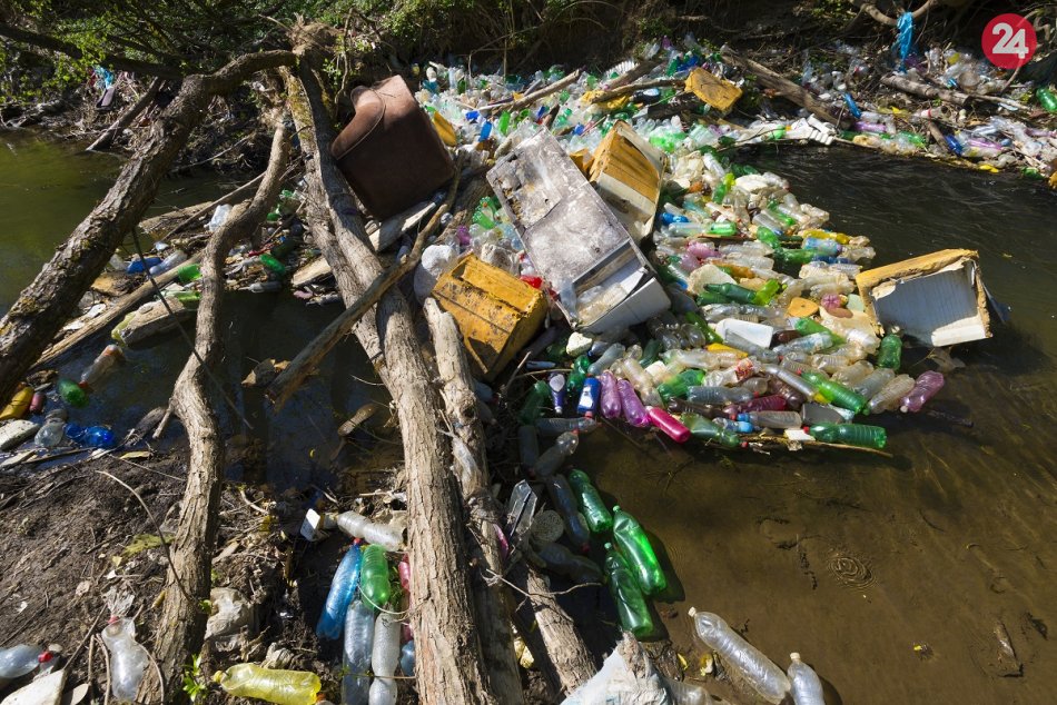 Diagram of the full system